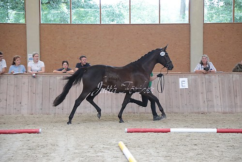 Siegerehrung 274