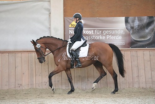 Stutenleistung0054