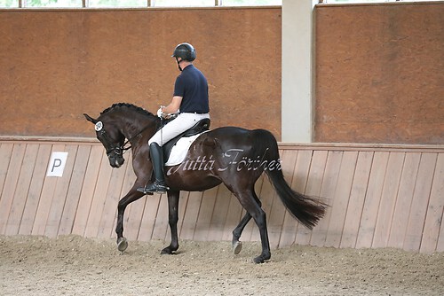 Stutenleistung0126