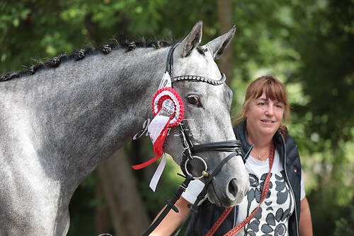 Siegerehrung Stutenleistung0101
