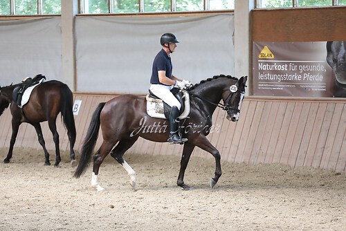 Stutenleistung0183