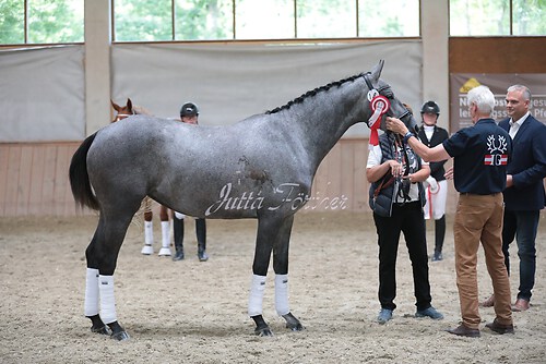 Siegerehrung Stutenleistung0048