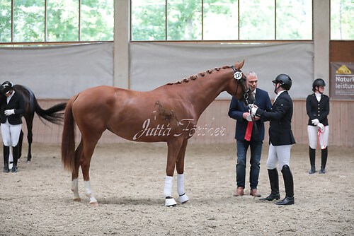 Siegerehrung Stutenleistung0024