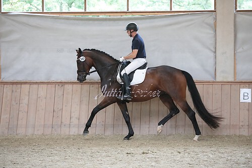 Stutenleistung0081