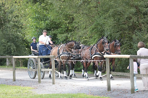 Siegerehrung 337