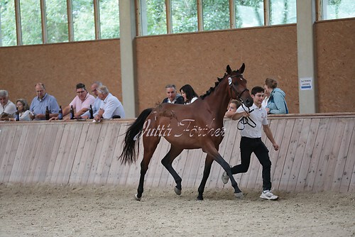 Freispringen 385