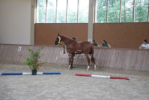 Siegerehrung 45