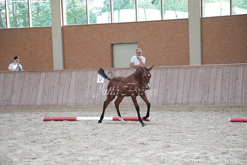 Siegerehrung 172