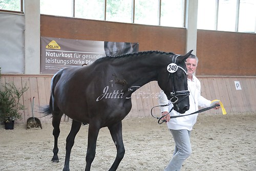 Siegerehrung 152