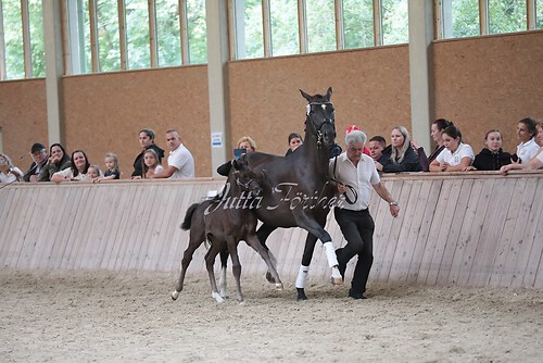 Freispringen 85