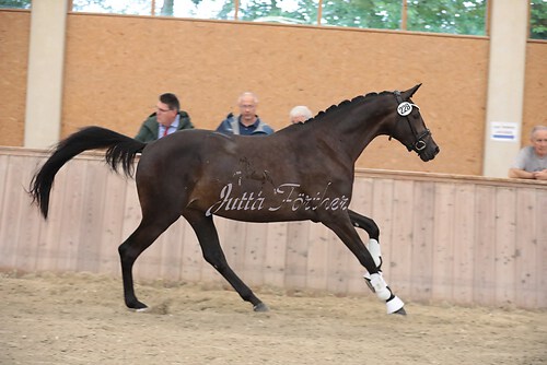 Italia M03