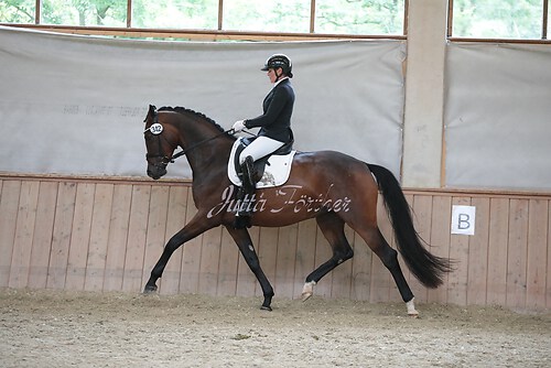 Stutenleistung0102