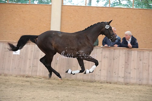 Italia M04