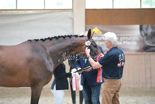 Siegerehrung Stutenleistung0059