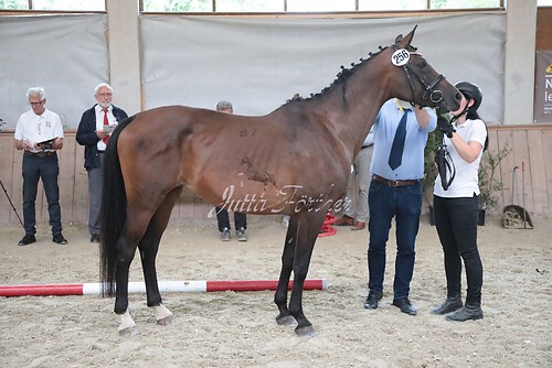 Siegerehrung 158