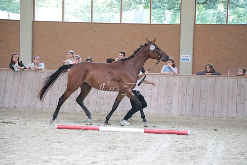 Siegerehrung 312