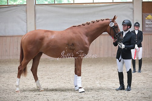 Siegerehrung Stutenleistung0031