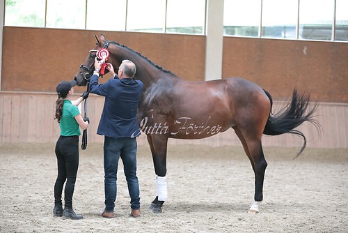 Siegerehrung Stutenleistung0080