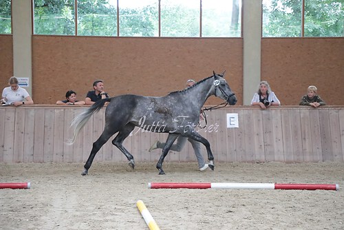 Siegerehrung 257
