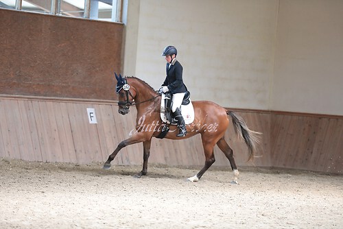 Stutenleistung0204