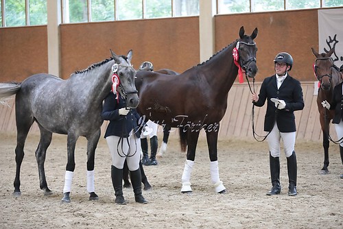 Siegerehrung Stutenleistung0168