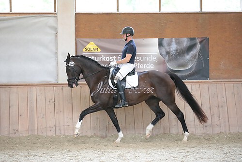 Stutenleistung0036