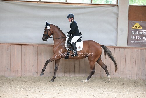 Stutenleistung0203