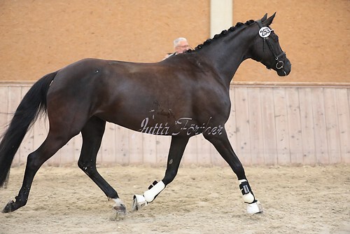 Herzogin Kate07