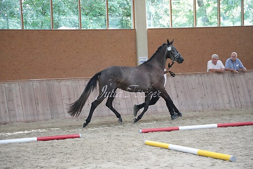 Siegerehrung 9