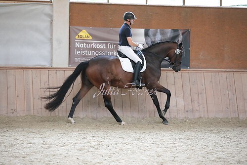 Stutenleistung0075