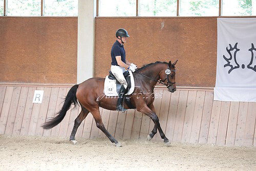Stutenleistung0215