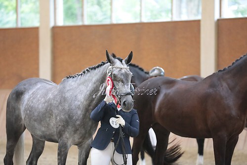 Siegerehrung Stutenleistung0160