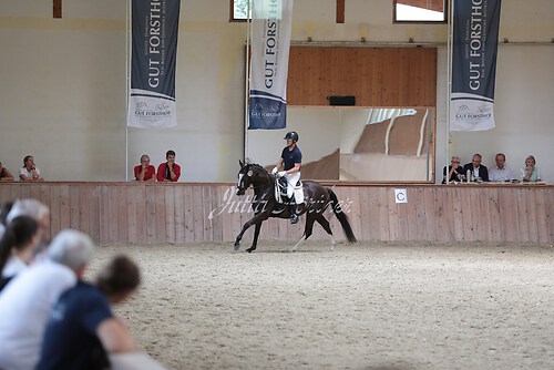 Stutenleistung0182