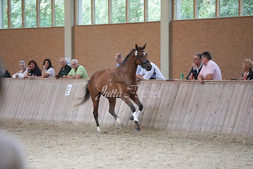 Freispringen 329