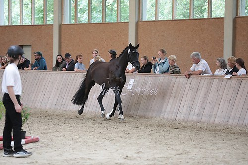 Freispringen 198