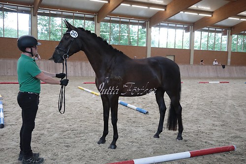 Siegerehrung 272