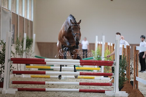 Freispringen 221