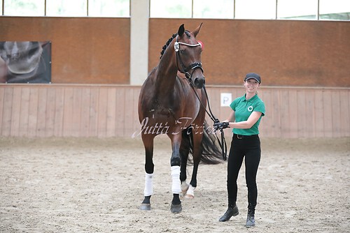 Siegerehrung Stutenleistung0083