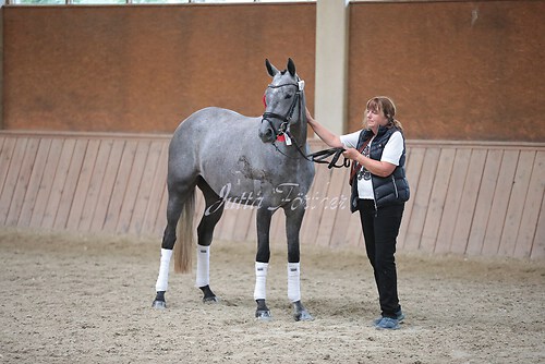 Siegerehrung Stutenleistung0073