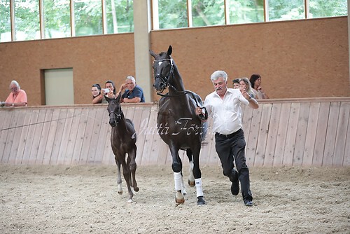 Freispringen 77