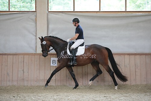 Stutenleistung0082
