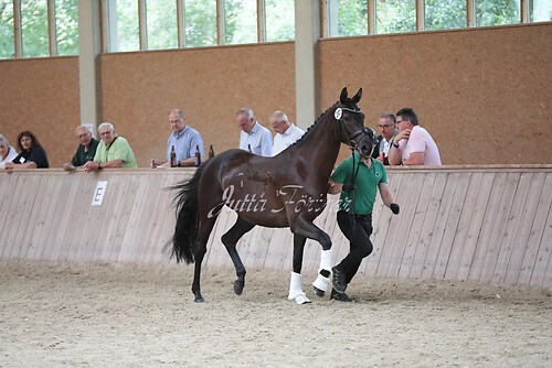 Freispringen 340