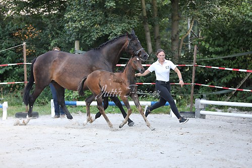 Lebensglück058