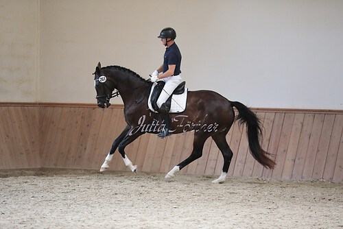 Stutenleistung0034