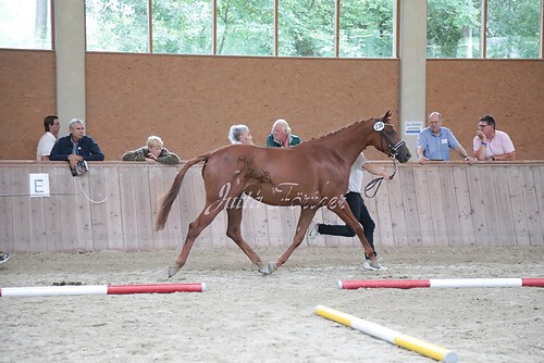Siegerehrung 302