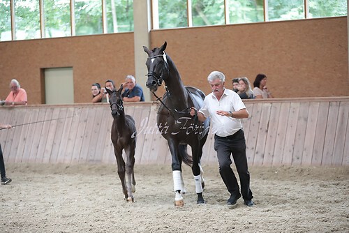 Freispringen 76