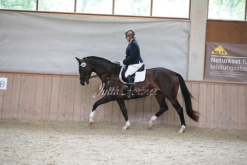 Stutenleistung0072