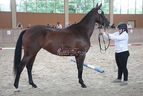 Siegerehrung 226
