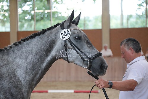 Siegerehrung 125
