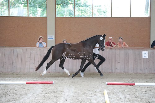 Siegerehrung 318